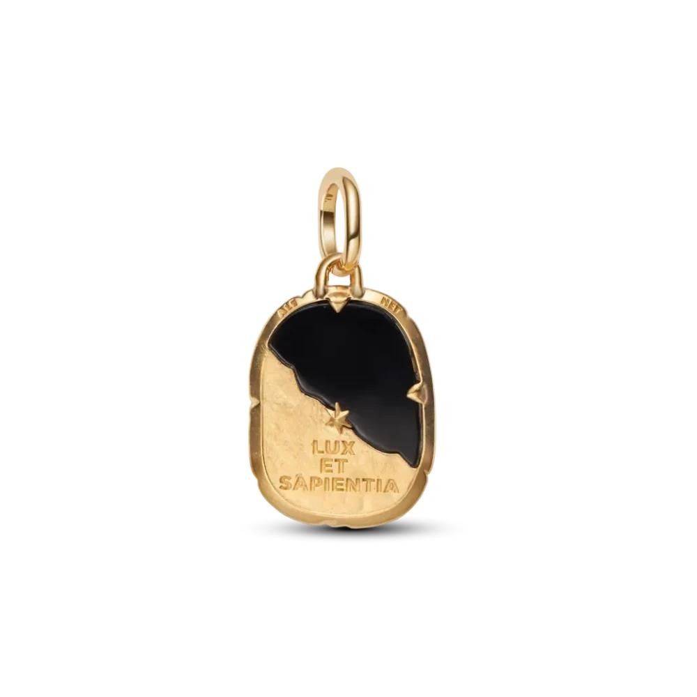 Charm Pandora Medallion Gufo "Lux Et Sapientia"