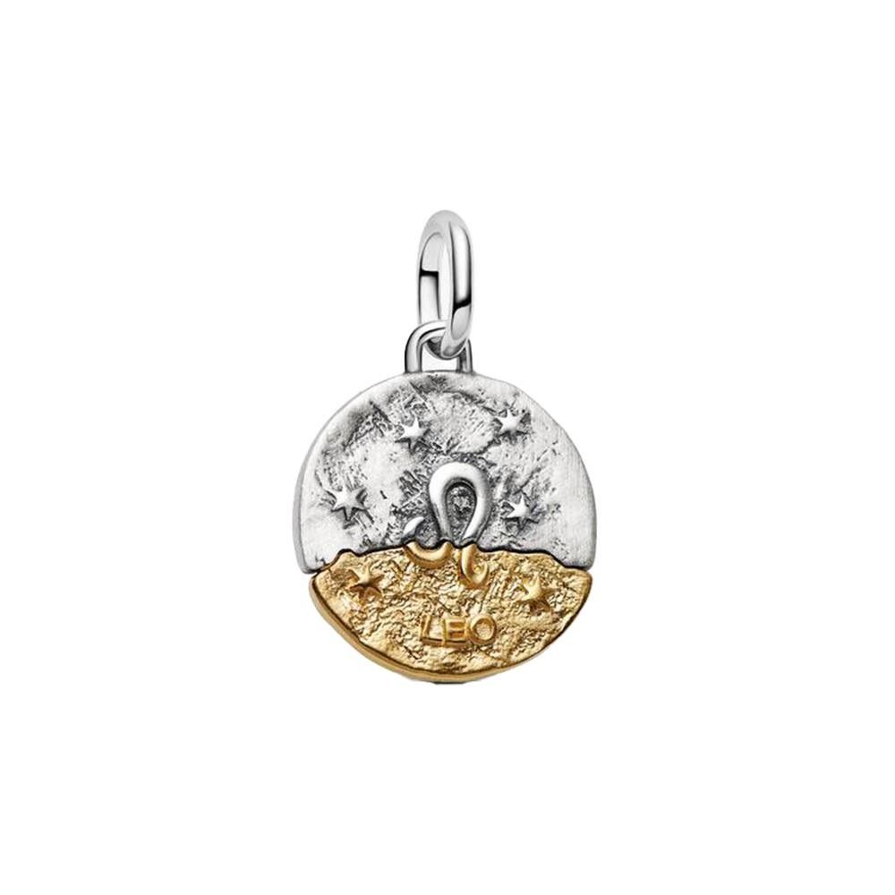 Charm Pandora Medallion Leone
