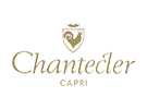 Logo Chantecler Argento